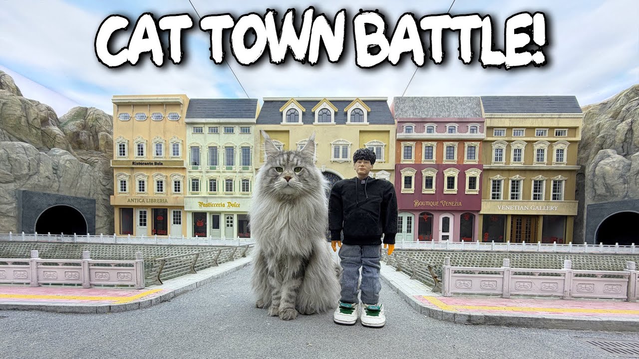 Mr. Nice vs Tutu in Cat Town