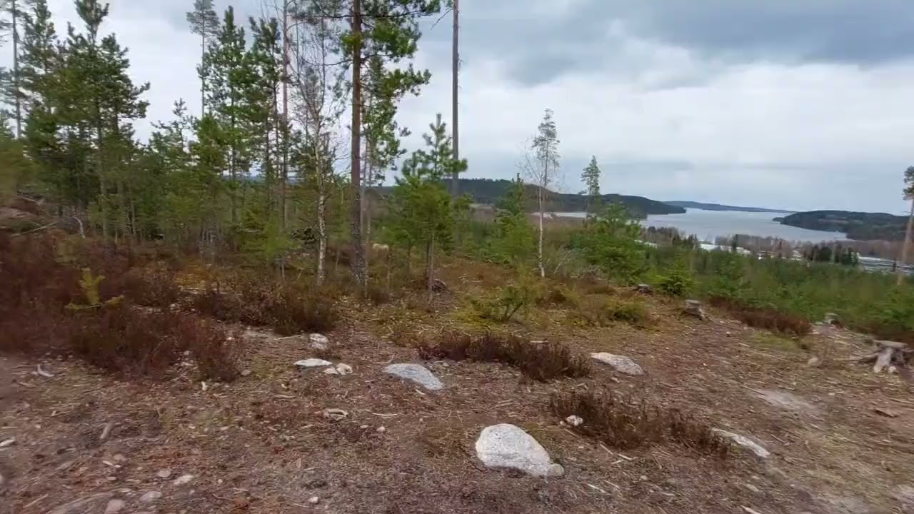 Random event no 6