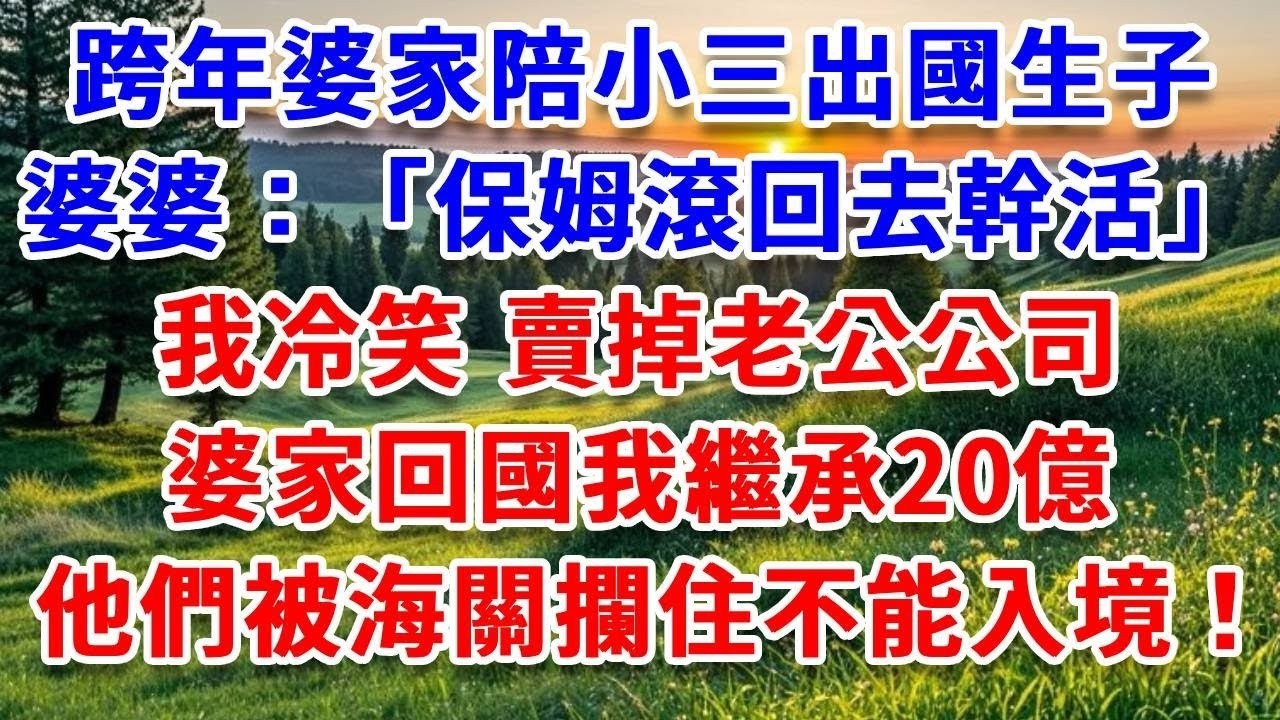 跨年婆家5口陪小三出國生子，婆婆：「保姆滾回去幹活」，我冷笑 賣掉老公公司，婆家回國我繼承20億，他們被海關攔住不能入境！#詩涵講故事#為人處世#生活經驗#情感故事#晚年哲理#說故事#完結文#原