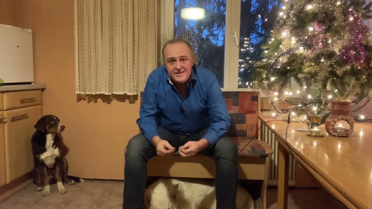 Hunde - Angst - Unsicherheit - Furcht - Phobie - Weihnachts-Special