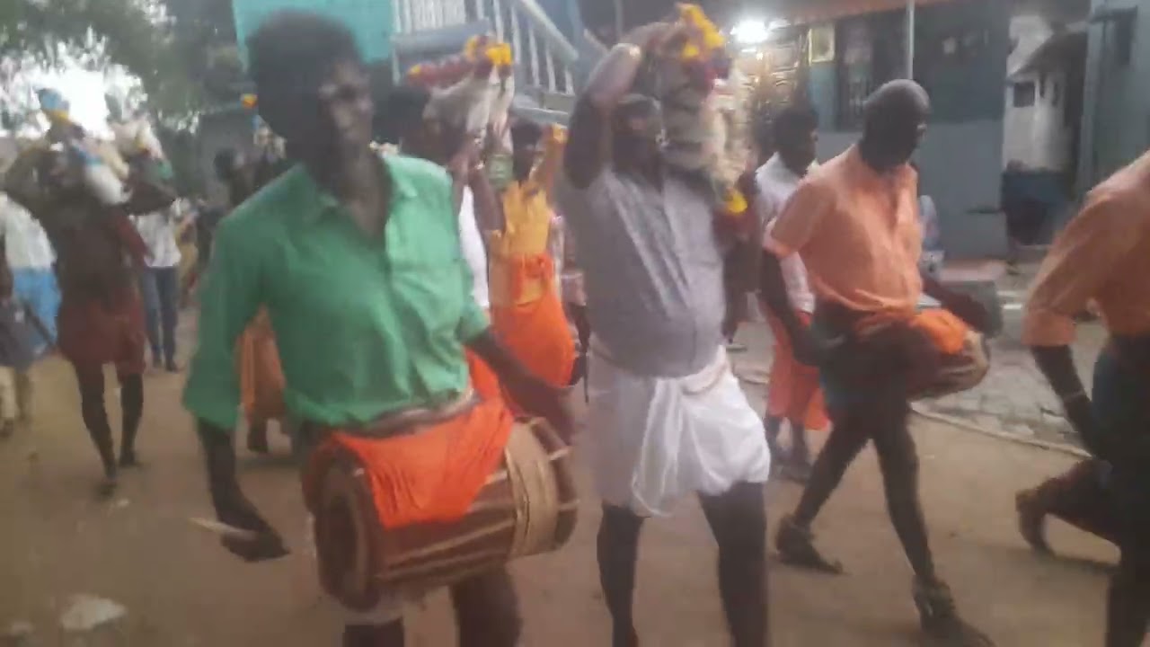 எருது. காட்டு. திருவிழா. இன்று.17.2.2026.பம்மநேத்தால். ந. பூபாலன். சிம்லா. மேளம்