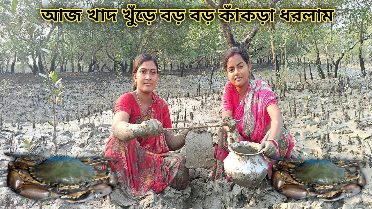 আজ খাদ খুঁড়ে বড় বড় কাঁকড়া পেলাম today dug a hole and found a big crab || Nandita Sundarban life