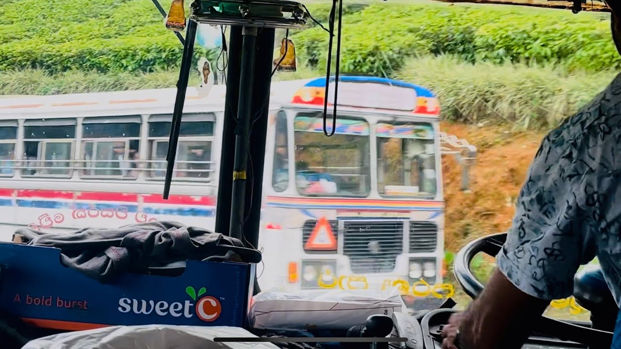 Ctb බස්රතයෙන් හැටන් සිට තලවාකැලේ බලා🚎⛰️🥶#besttravelpartner#busdrivingexperience#buslovers