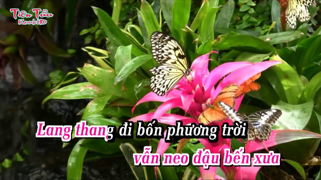 NEO ĐẬU BẾN QUÊ - [KARAOKE] - 2