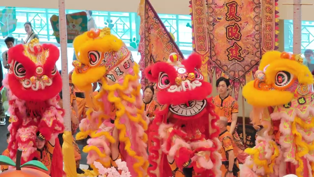 【馬醒獅賀歲滙演】夏昭建龍獅體育總會 初四 丙午馬年 (2026.2.21)