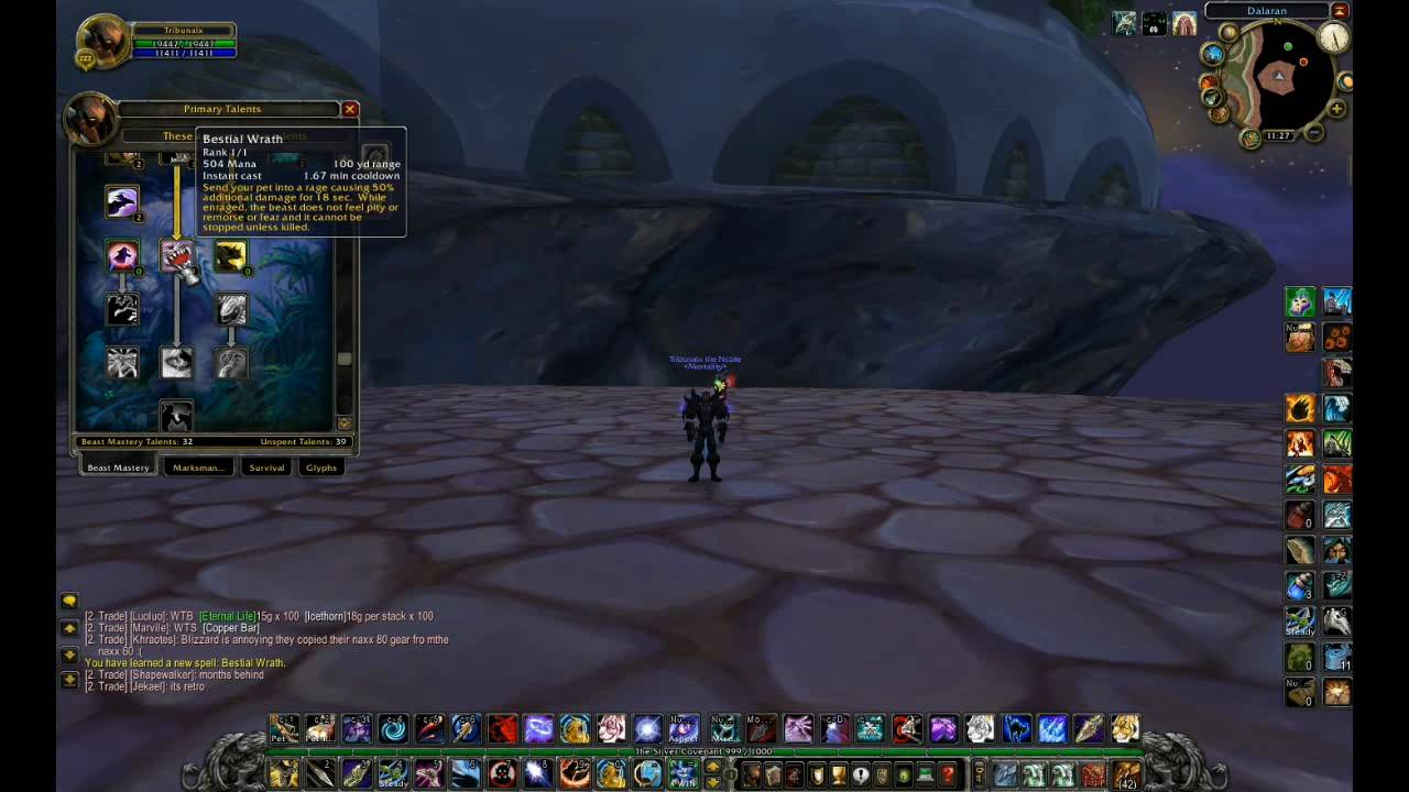 Beast Mastery Hunter DPS Build - World of Warcraft Hunter