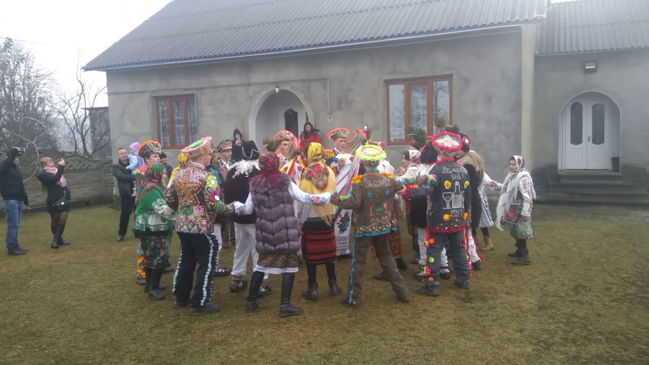 Calu Satul Nou 2019