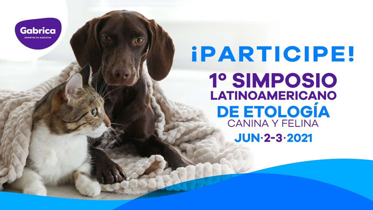 DÍA 1 🎥🔴 1er Simposio Latinamericano de Etología Canina y Felina 💜🐶🐱 | Feliway y Adaptil