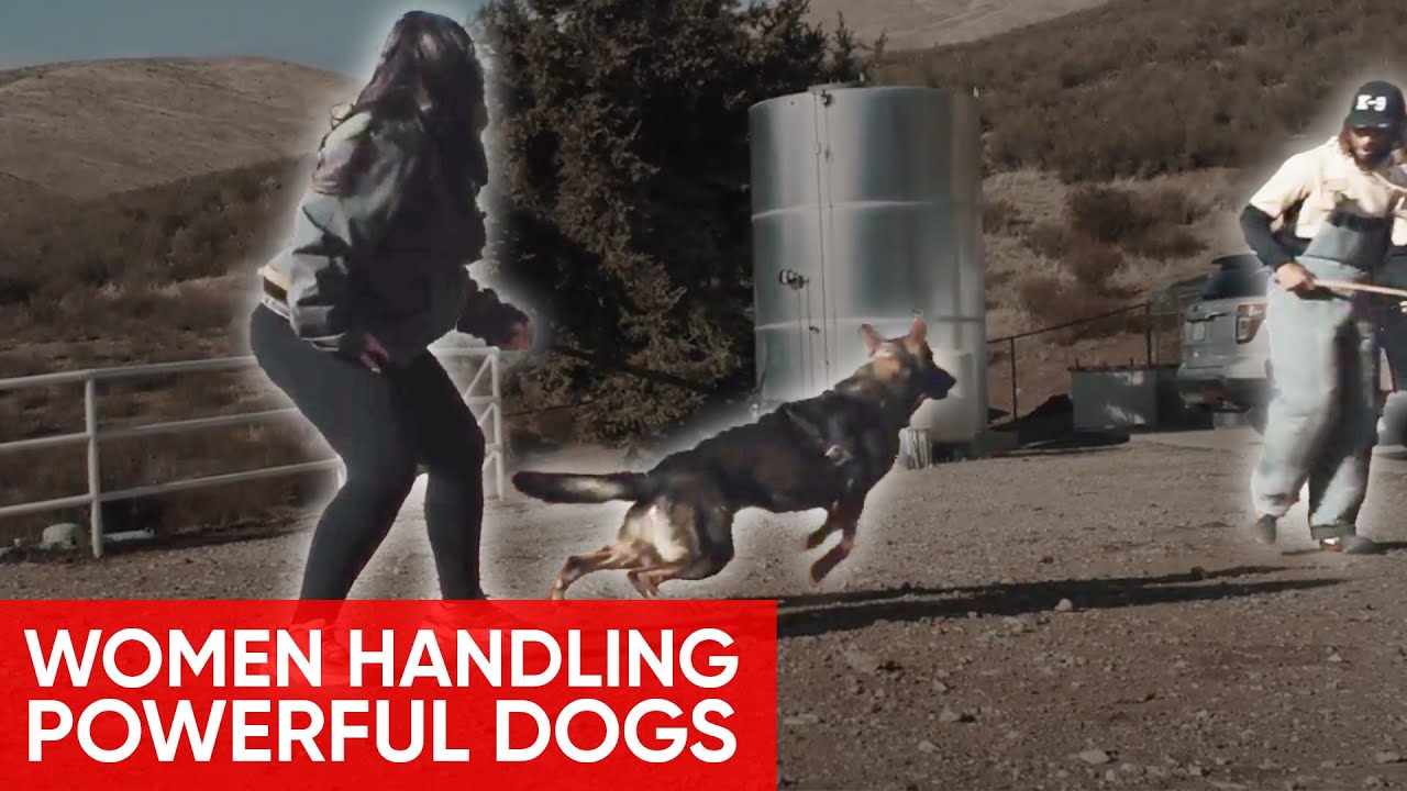 WOMEN HANDLING POWERFUL DOGS: DDR GERMAN SHEPHERD
