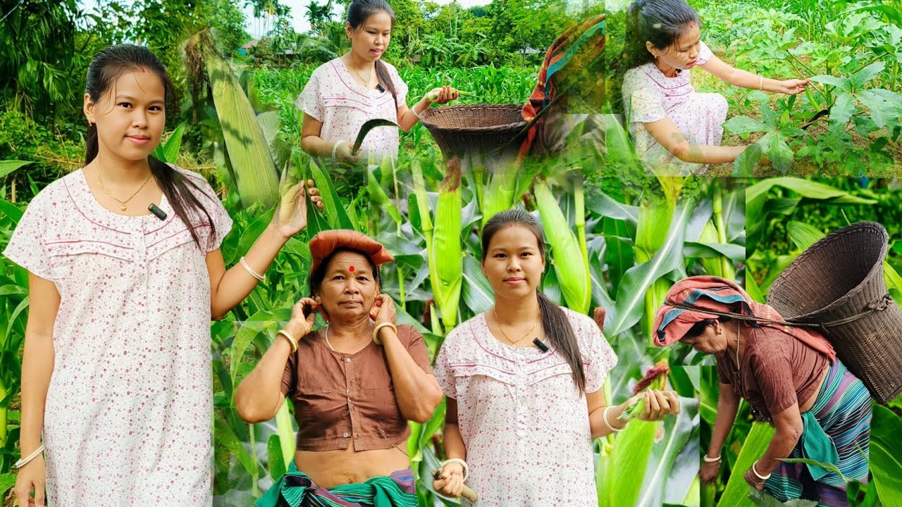 Ama ni Mogodam bari 🌽 🥒🍆