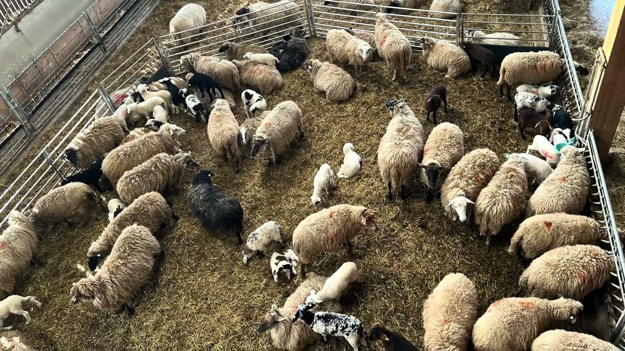 De turf en olie route bij het Bargerveen