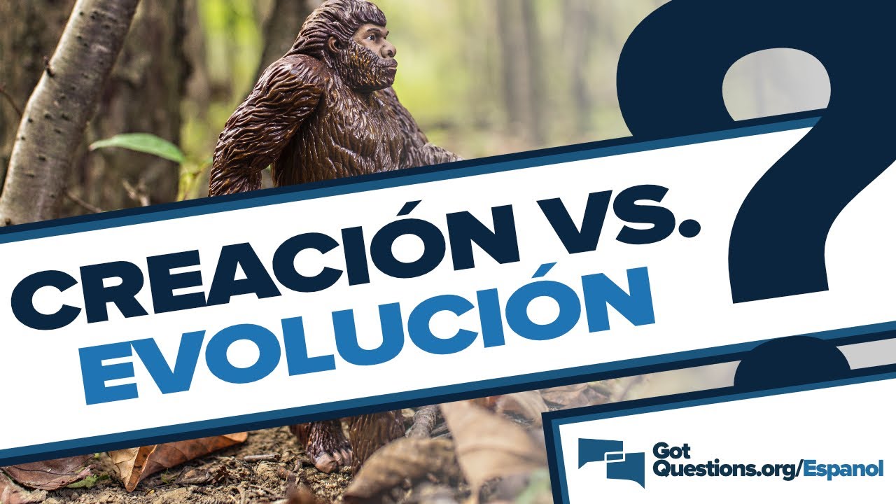¿Qué dice la Biblia sobre la Creación contra la teoría de la Evolución? | GotQuestions.org/Espanol
