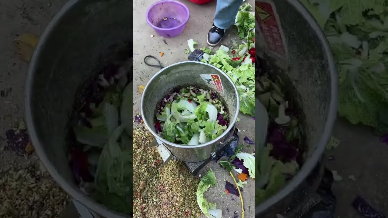 High-power stainless steel vegetable chopper #vegetablechopper #chicken, duck, and goose farming