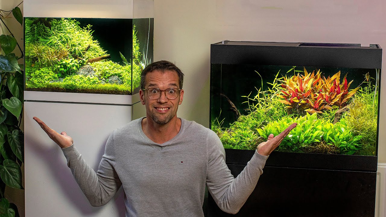 So what’s next..?!