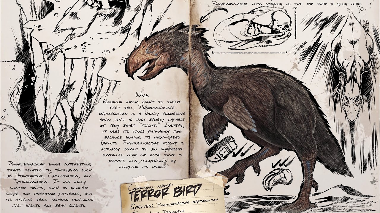 Terror Bird Taming and Ability Guide | Ark Survival Evolved