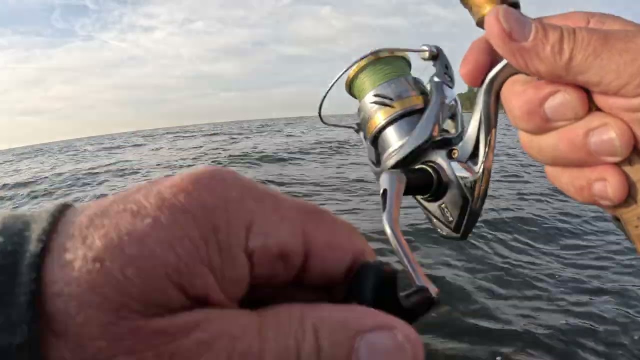 Haunting seatrout on the danish island Møn. Part 1
