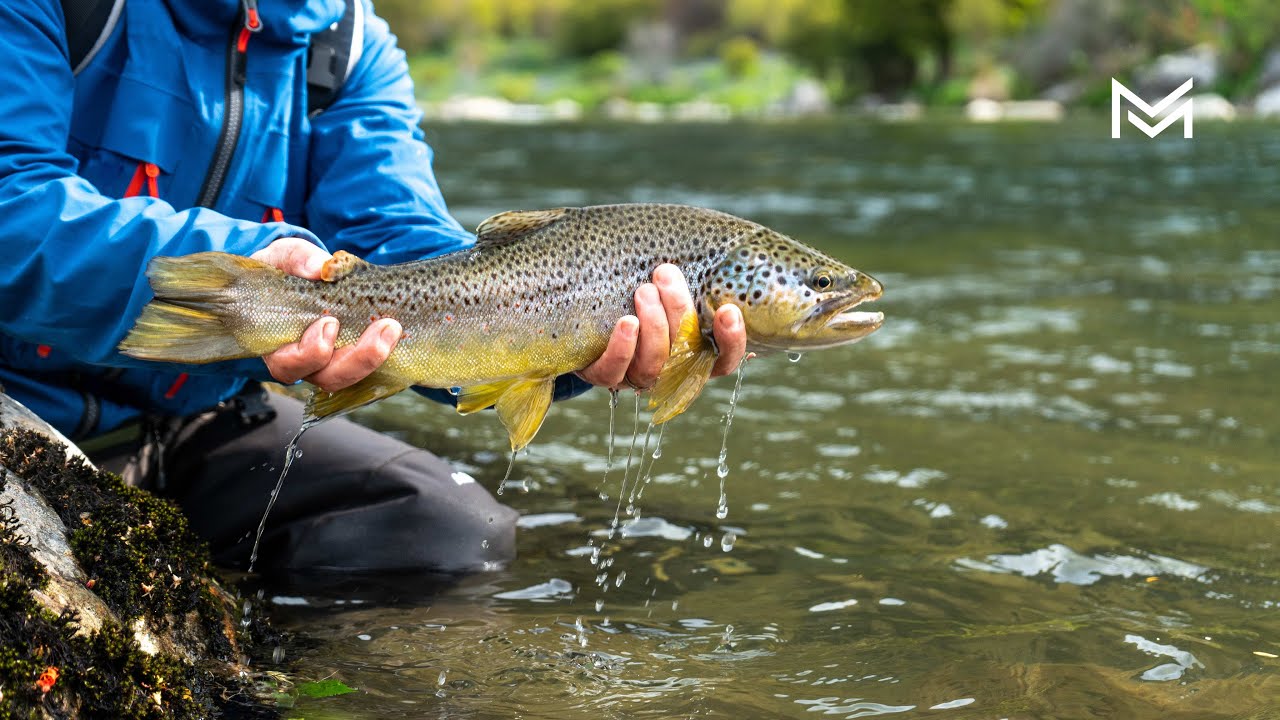 Mañihuales Ecolodge | Puerta norte de la pesca con mosca en Aysén