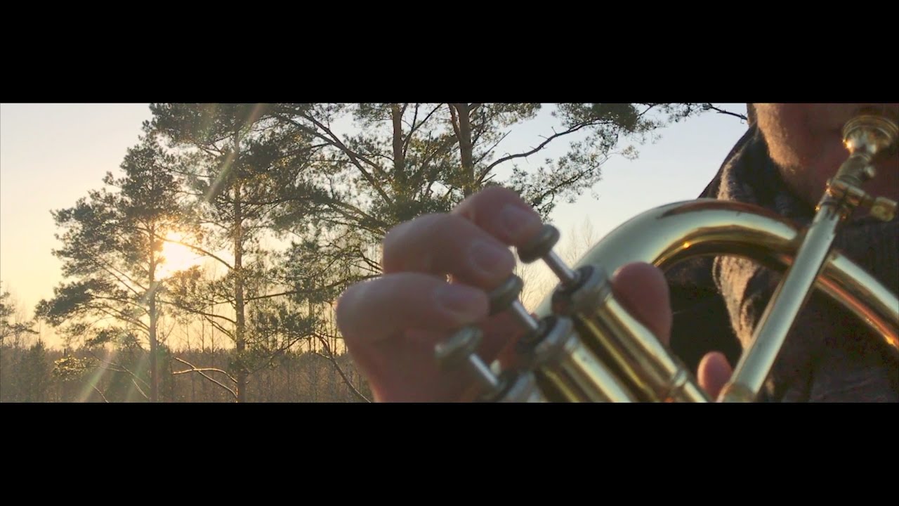 Brassical - Palve
