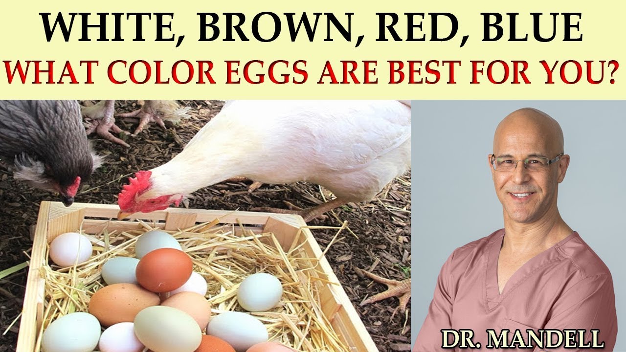 WHAT COLOR EGG IS THE HEALTHIEST?  BROWN vs WHITE    (Dr Alan Mandell, DC)
