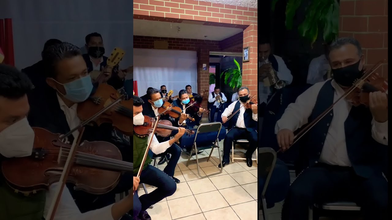 Caballero - Mariachi Juvenil Real de México