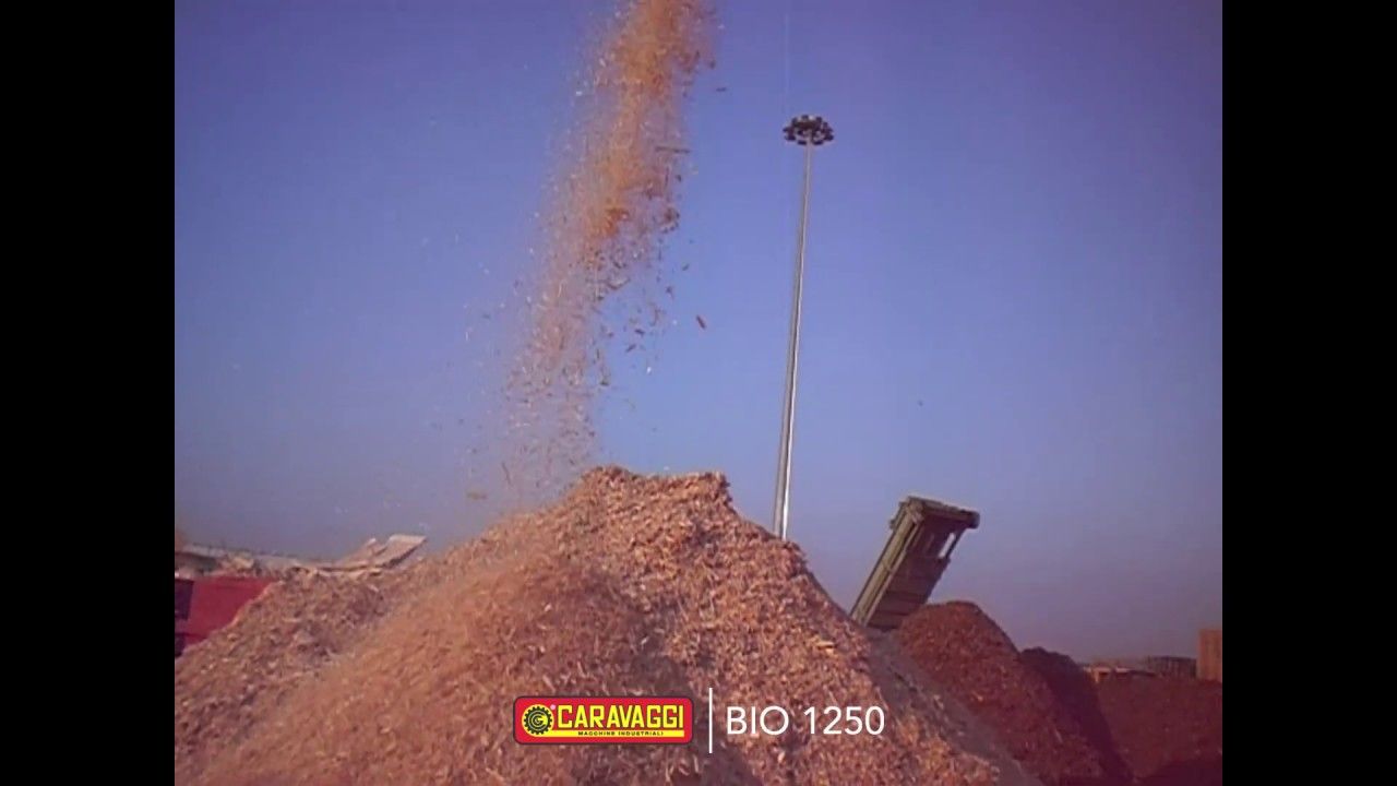 Caravaggi   Bio 1250