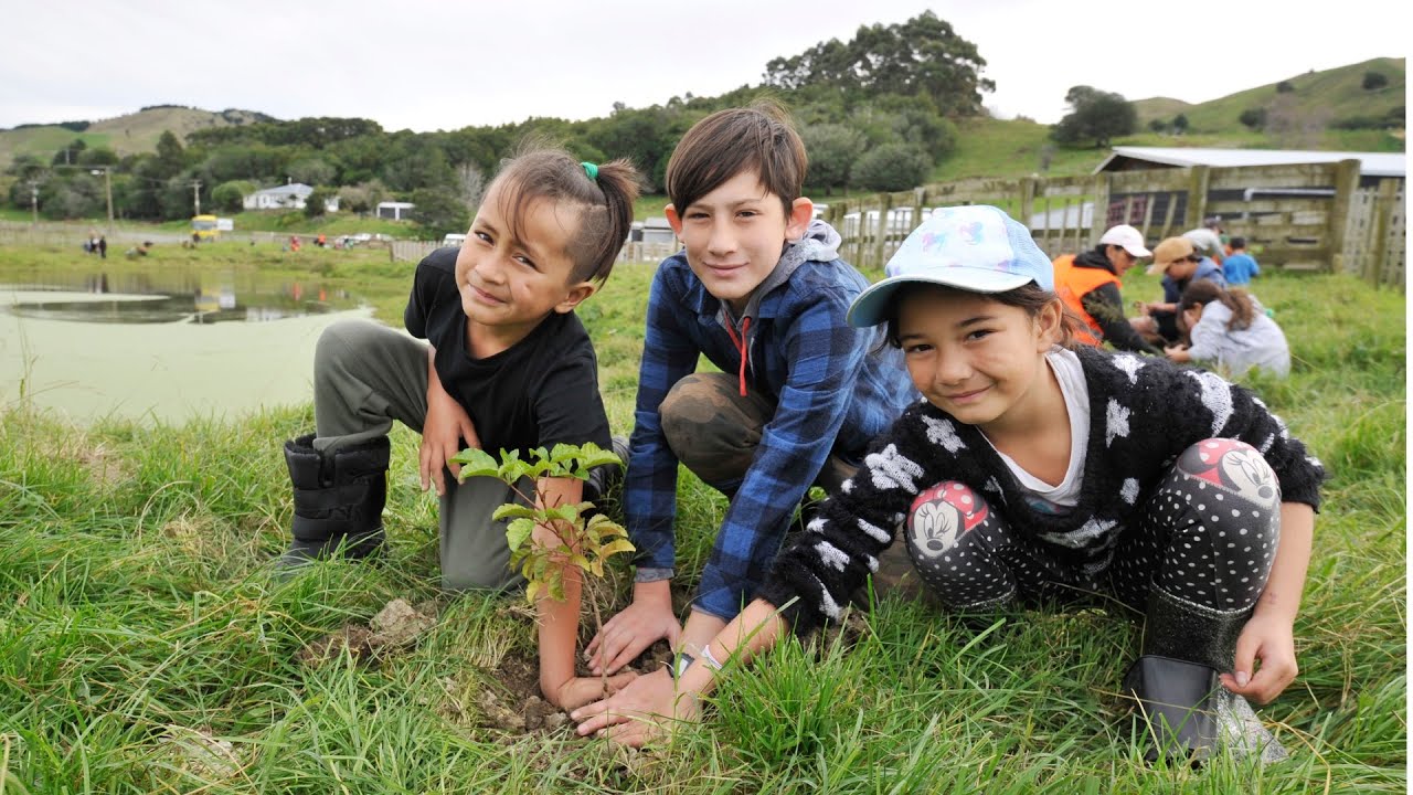 Whangara School Tree Planting