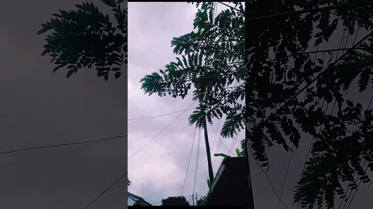 tetap baik² saja walau sebelah kaki nyeri Krn ga manja