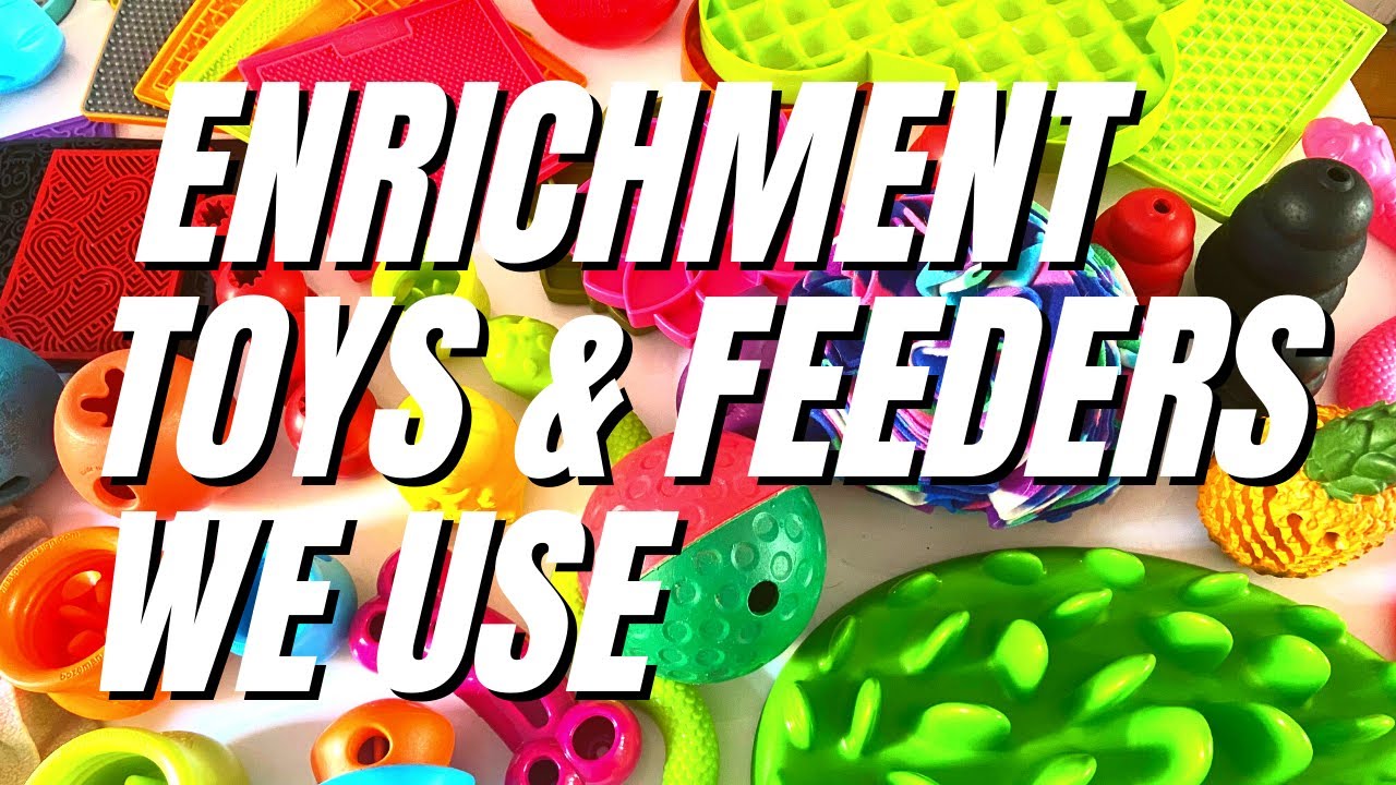 The Best Interactive Enrichment Dog Toys & Slow Feeders