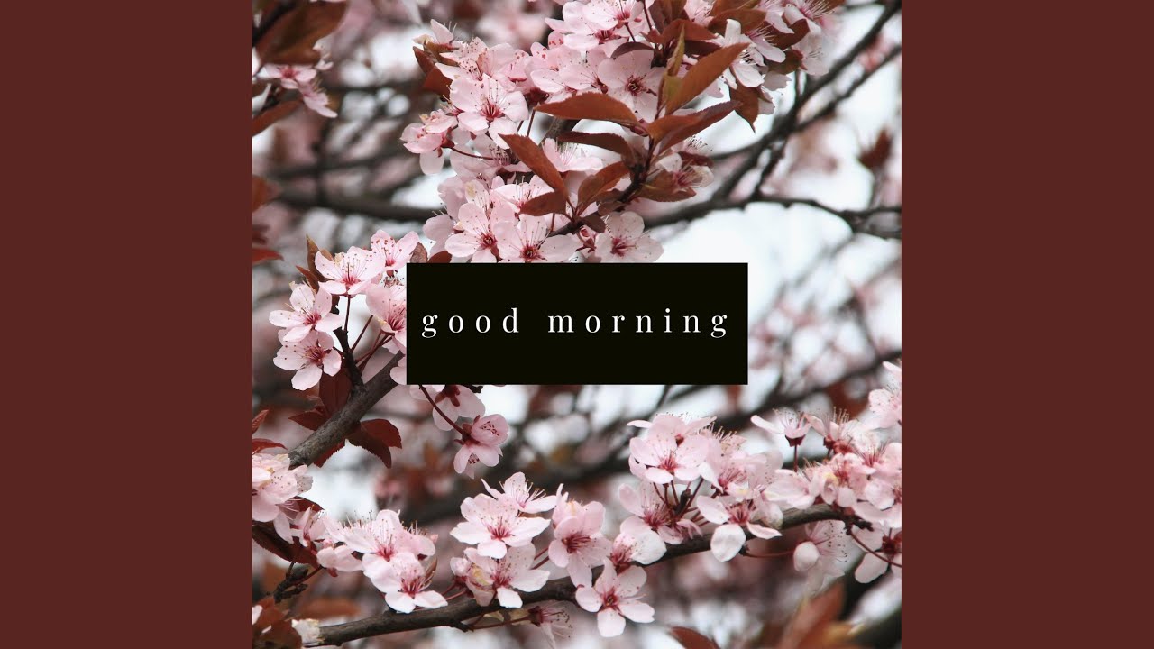 Good Morning