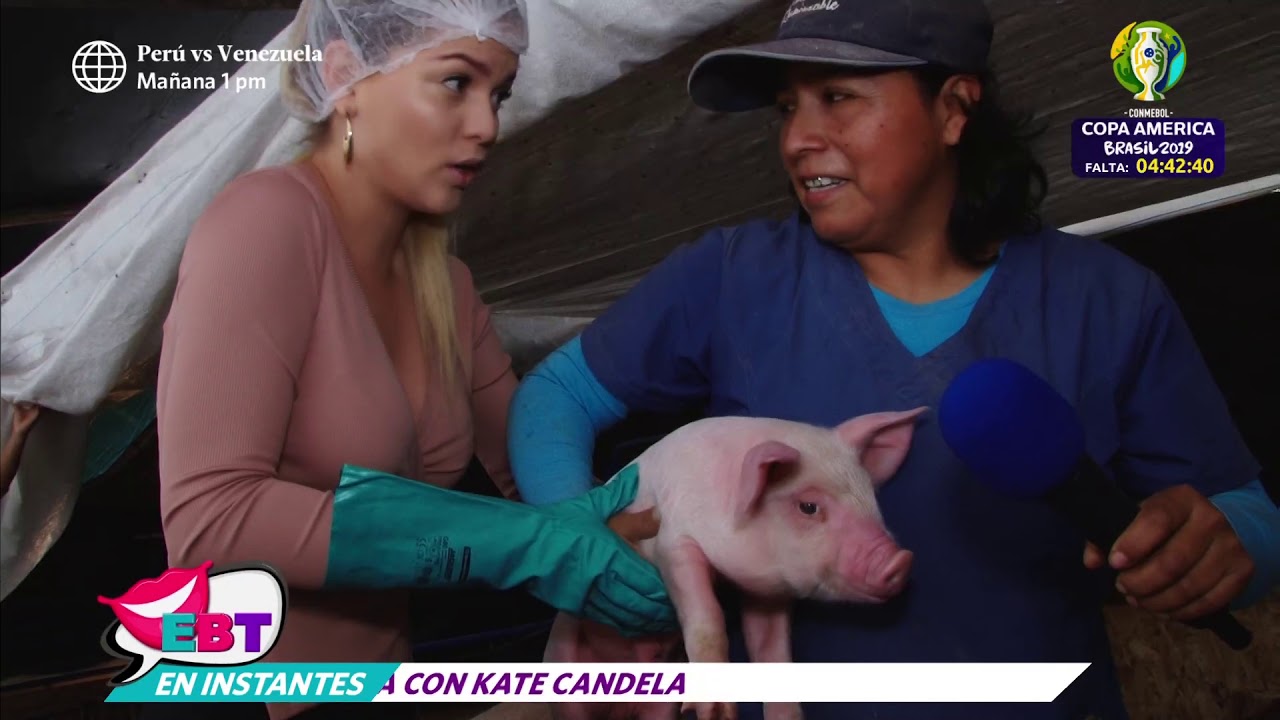 Brunella Horna trabaj&oacute; un d&iacute;a como cuidadora de cerdos