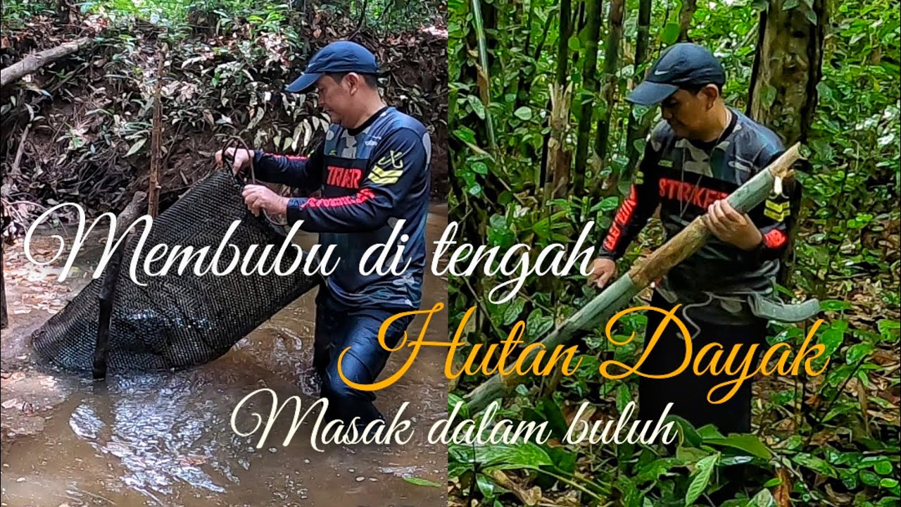 Membubu di tengah hutan dayak! Langsung dimasak dalam buluh tradisi dayak. Bubu udang galah & ikan.