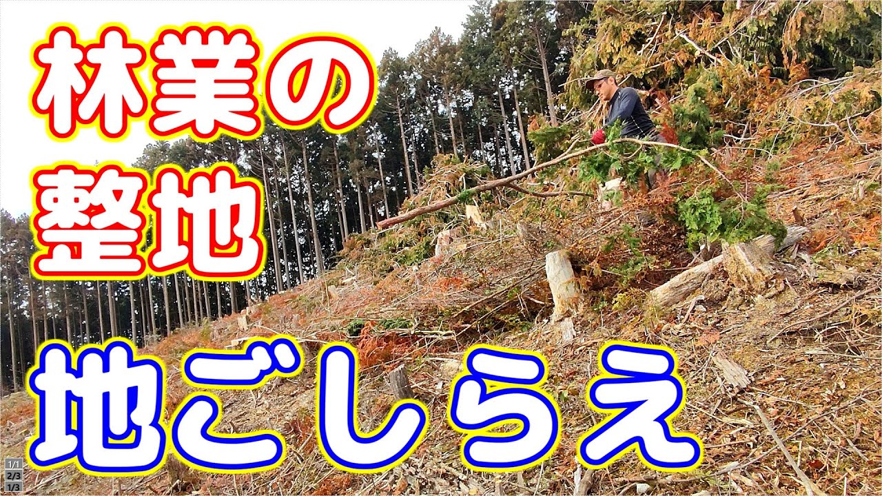 【林業】地ごしらえの現場に行ってきた【地ごしらえ】- 2023.03.01