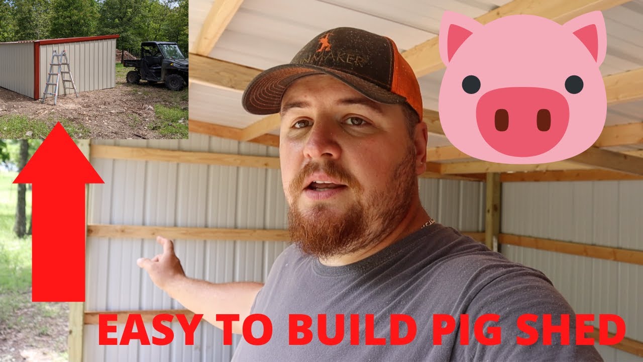 The Ultimate DIY Pig Shelter! Backyard Farm Raising Hogs!