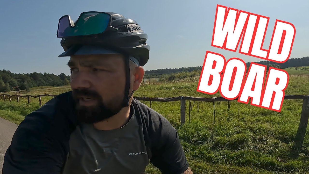 Gravel riding at it's best | 2 climbs 1 boar and a slightly less creaking Canyon Grizl gravel bike
