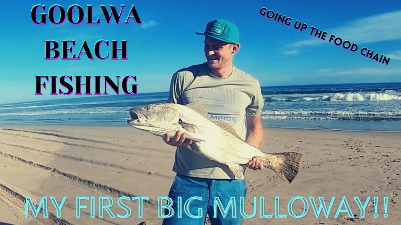 Goolwa Beach Fishing - South Australia/  My First Big Mulloway!!