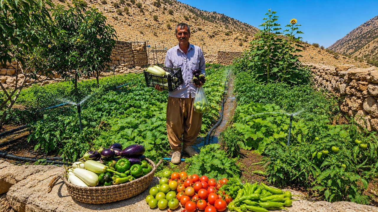 Iranian Nomadic Life: 🍆🫜Fresh Farm and Harvest of Nomadic Products🫑 | Iranian Nomadic Lifestyle 🏞