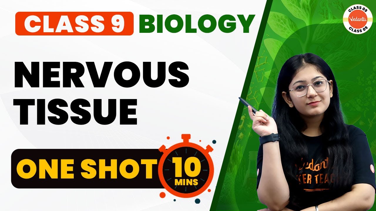 Nervous Tissue One Shot | Tissues Class 9| NCERT Class 9 Science Full Chapter 6 Explanation