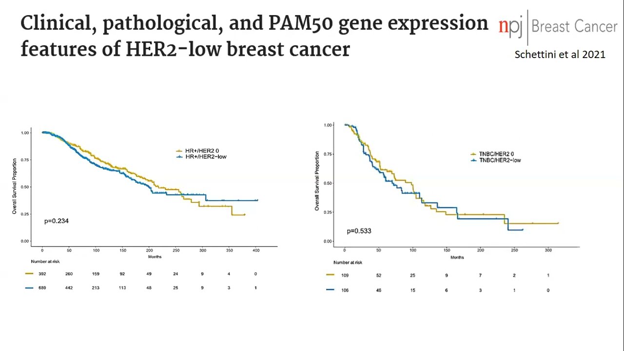 Prof. Hamdy A. Azim HER2-positive Early Breast Cancer Wrap-up