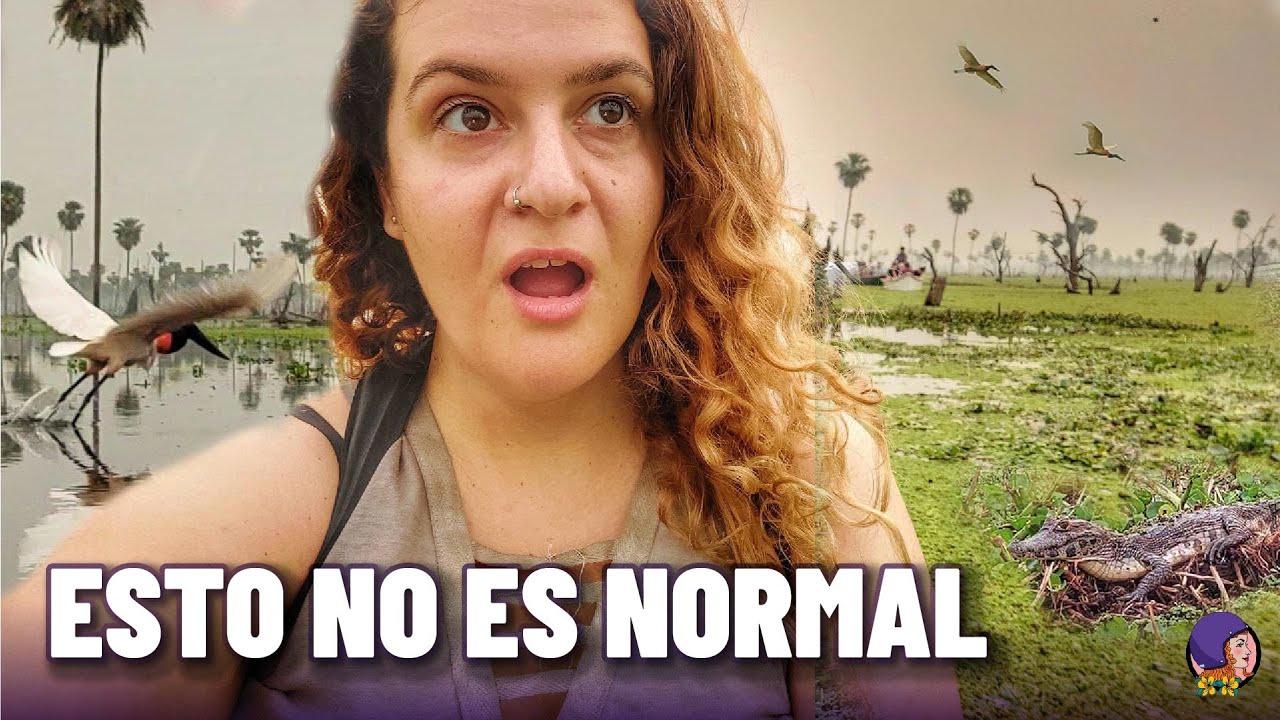 El HUMO de los INCENDIOS invade el BAÑADO LA ESTRELLA | Las Lomitas - Formosa
