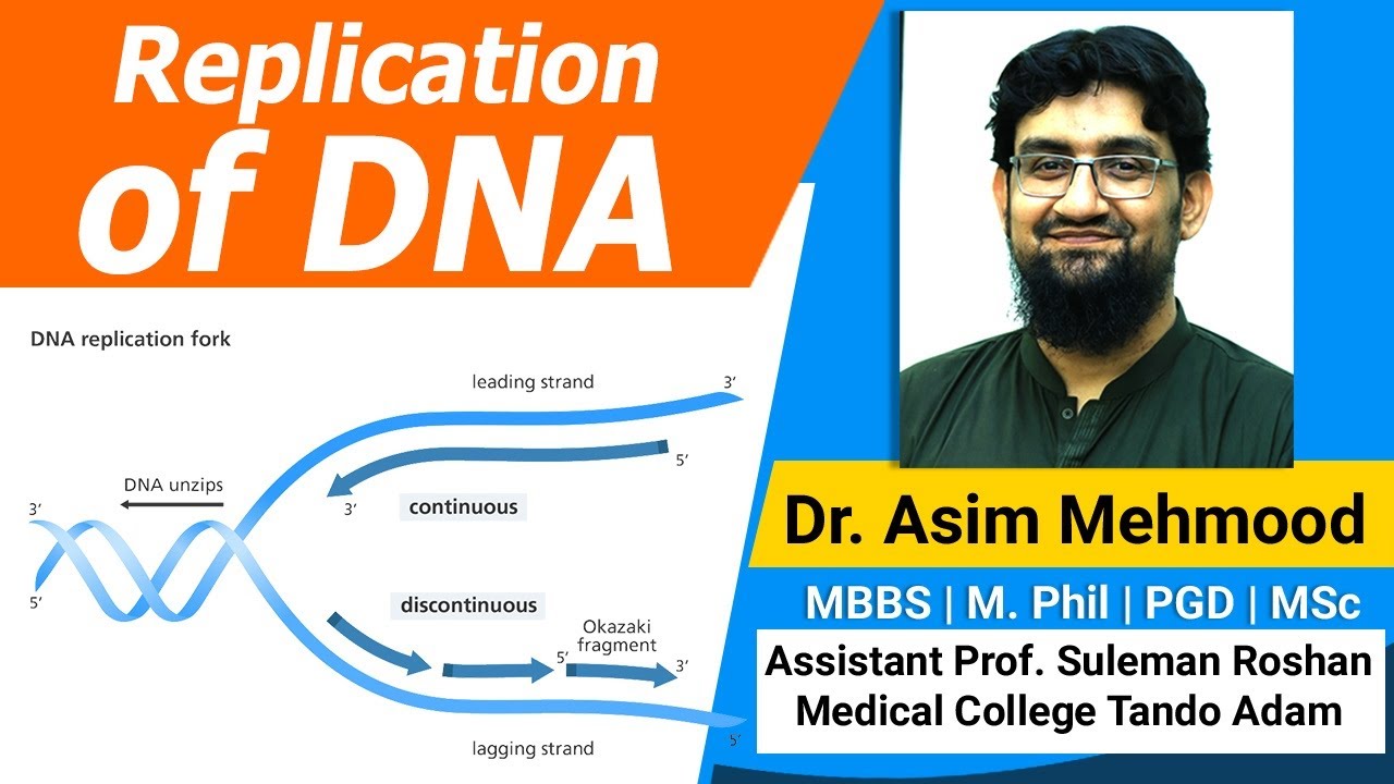 Replication of DNA ( Hindi / Urdu )
