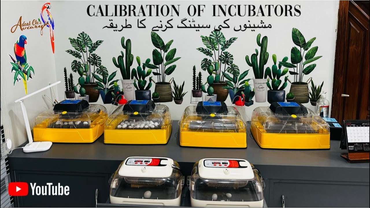 Incubator and Brooders Calibration