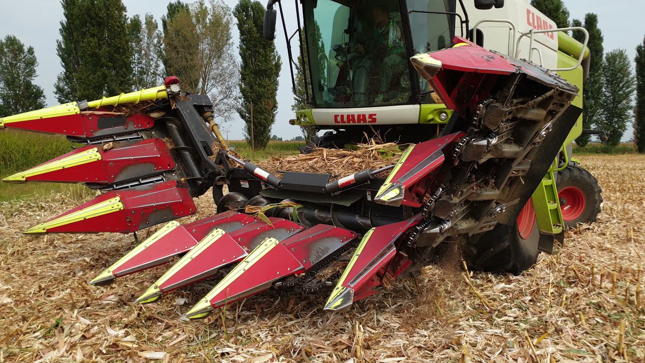 Taglio Mais con Mietitrebbia Claas Lexion 630 con olimac Drago Pieghevole con trincia stocchi-paglia