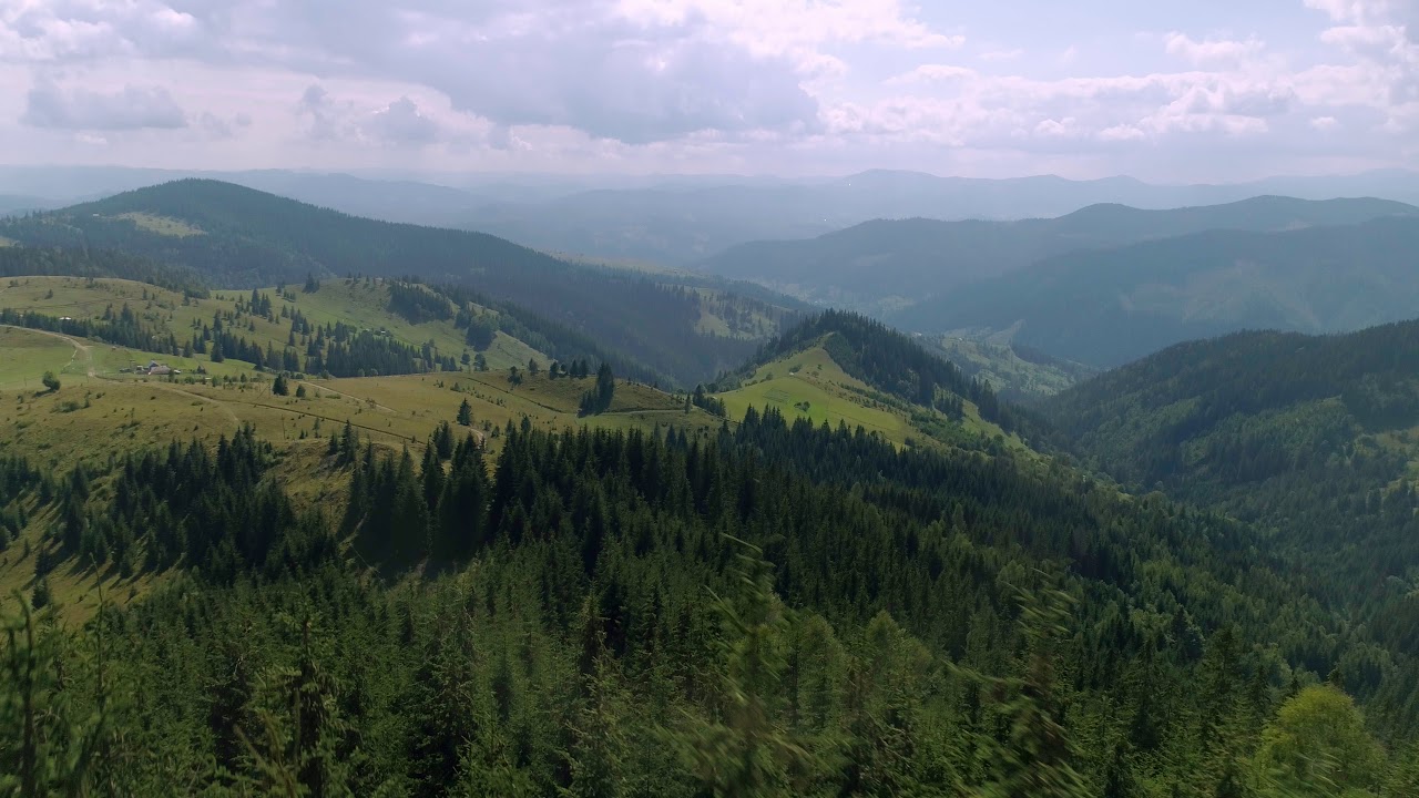 Aerial Drone Footage Flight Over Mountain Road Over Trees