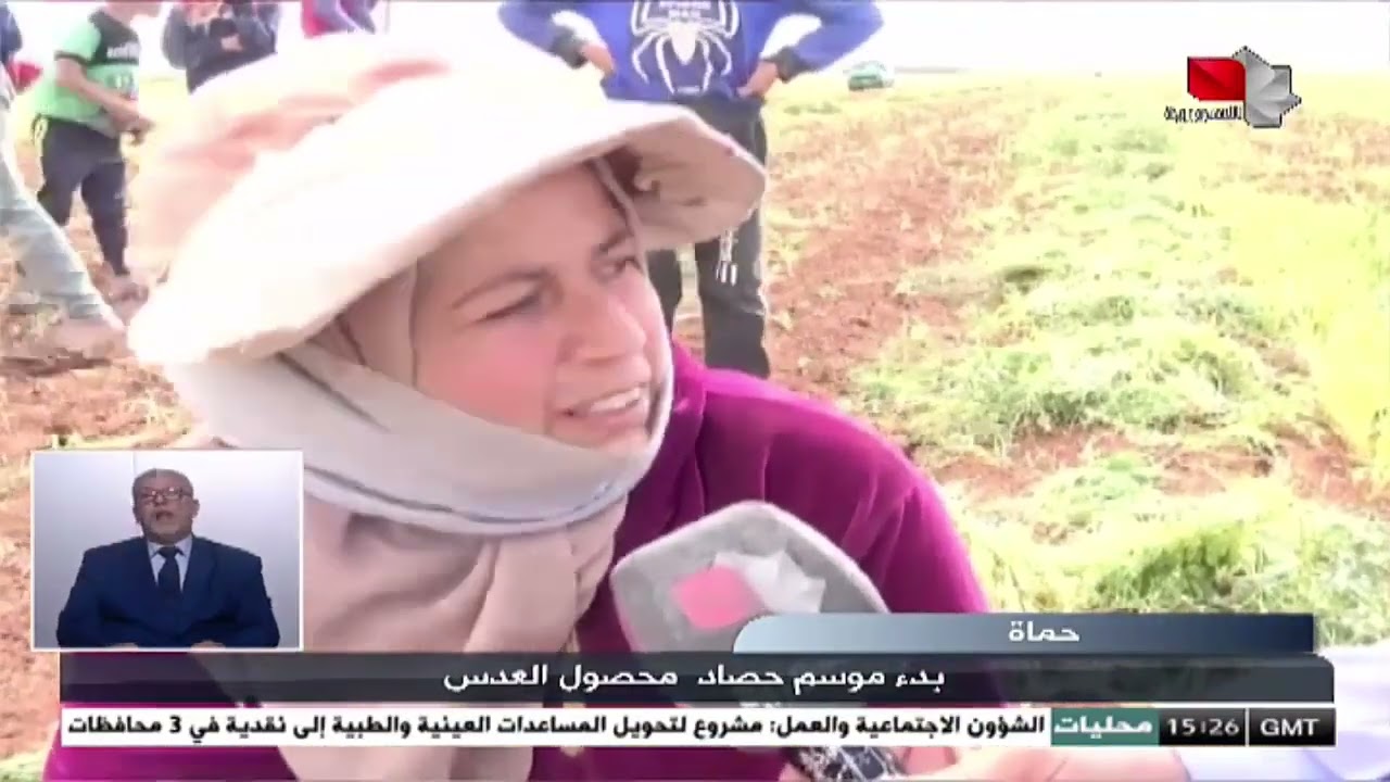 انطلاق موسم الحصاد في سوريا في محافظة #حماة_قرية_براق