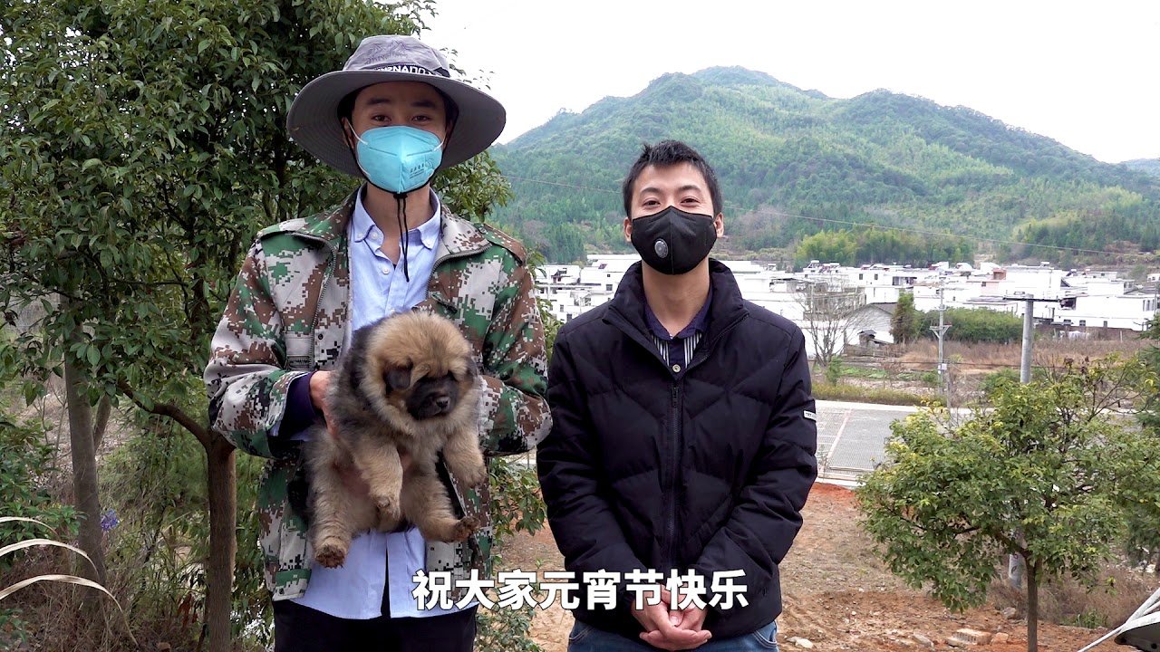 华农兄弟：祝大家，元宵节快乐！
