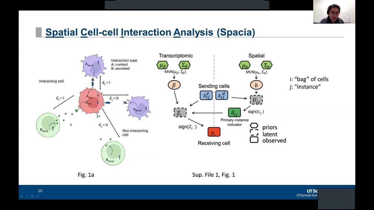 Mapping cellular interactions from spatially resolved transcriptomics data