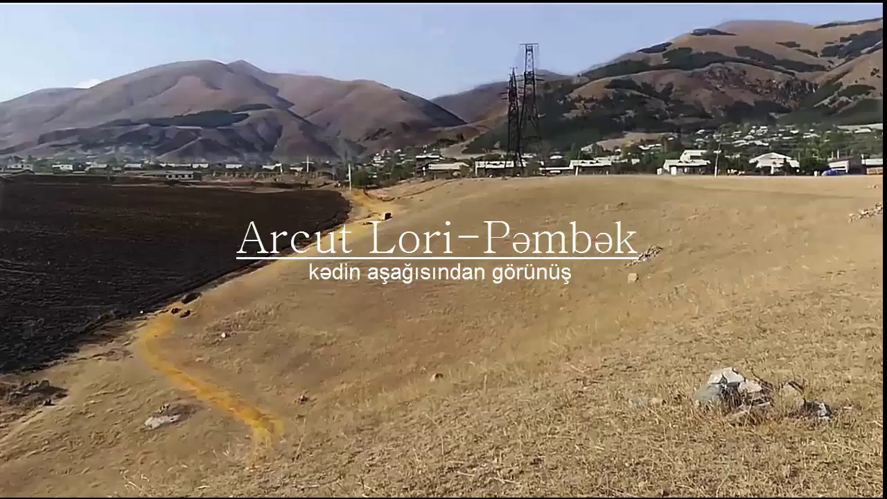 Arcut Pəmbək