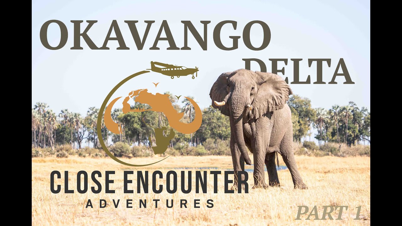 Exploring the Okavango Delta: Part 1 – A Botswana Safari Adventure