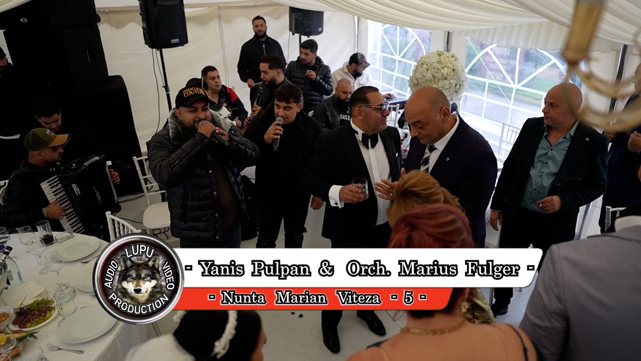 Nunta Marian Viteza - 5 - Yanis Pulpan & Taraful Marius Fulger - Hora de joc