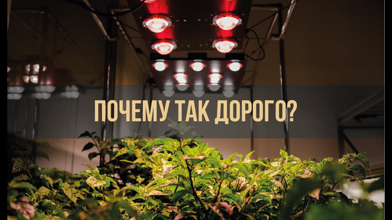 Почему LED светильники для растений так дорого стоят? Из чего складывается цена?